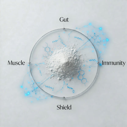 L-Glutamine